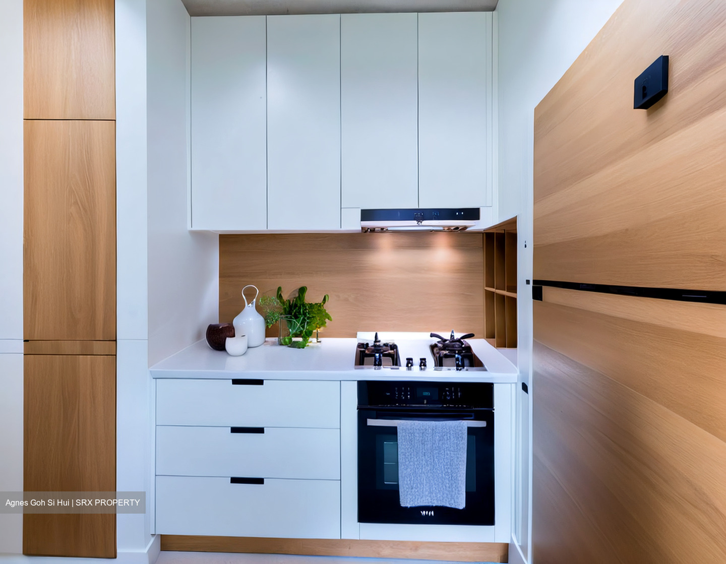 Ascentia Sky (D3), Condominium #502715021